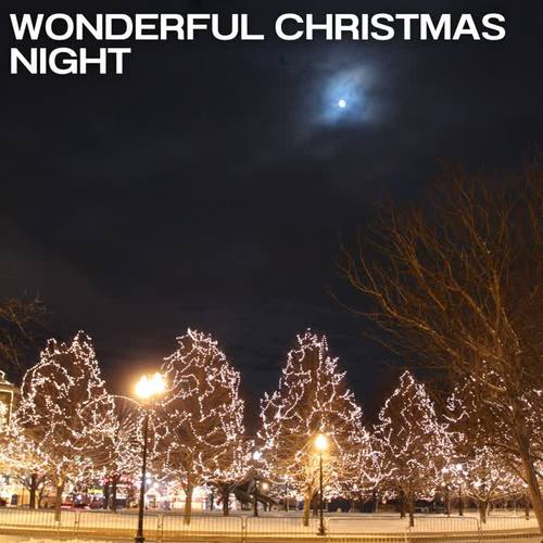 Wonderful Christmas Night