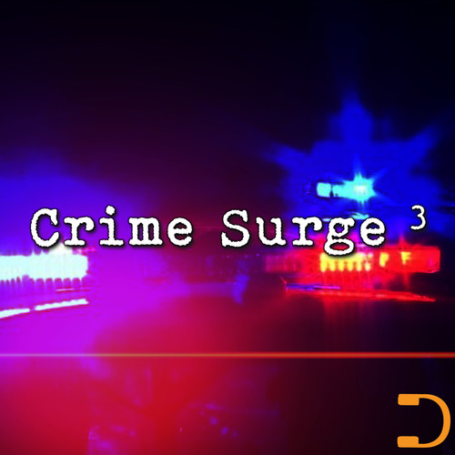 Crime Surge 3