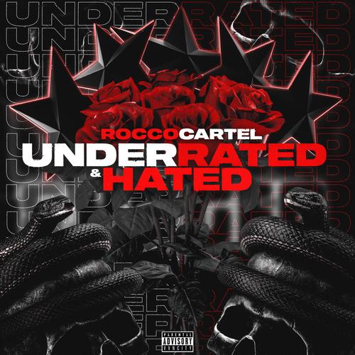 Underrated & Hated (Explicit)