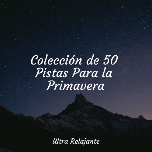 Colección de 50 Pistas Para la Primavera