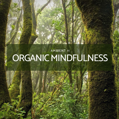 Organic Mindfulness