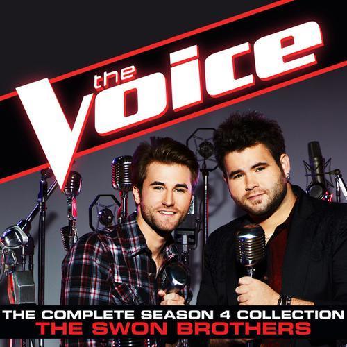 celebrity(the voice performance)_blake shelton&the swon brothers