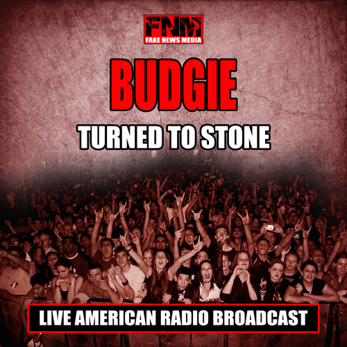 Turned To Stone (Live)