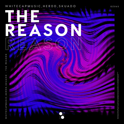 The Reason