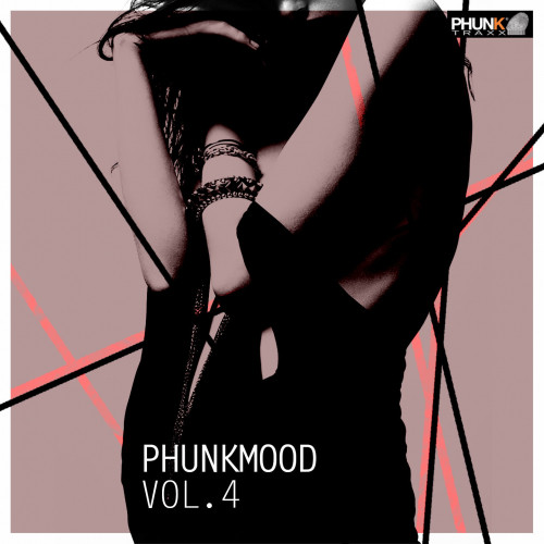 PHUNKMOOD, VOL. 4