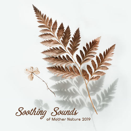 Soothing Sounds of Mother Nature 2019