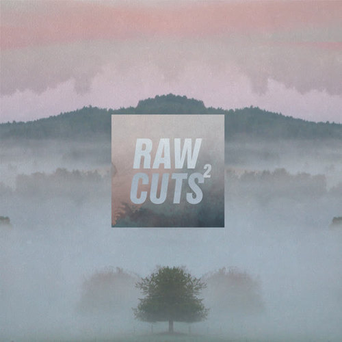 Chillhop Raw Cuts 2