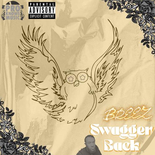 Swagger Back (feat. Pro Knows Music) [Radio Edit] [Explicit]