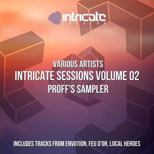 Intricate Sessions, Vol. 2 (Proff's Sampler)