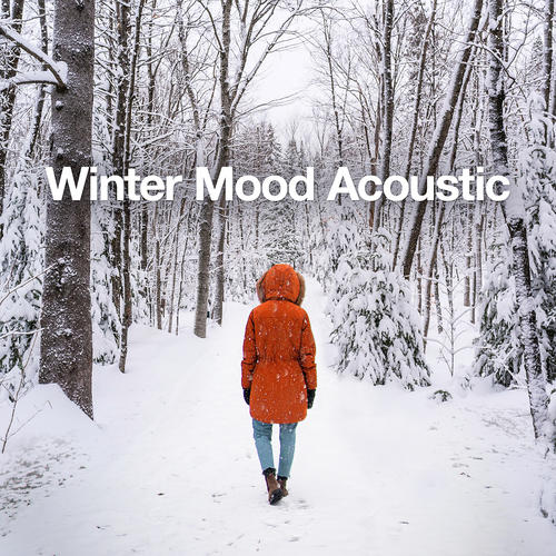 Winter Mood Acoustic (Explicit)