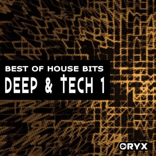 Best Of House Bits: Deep & Tech 1