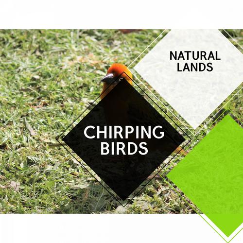 Chirping Birds - Natural Lands