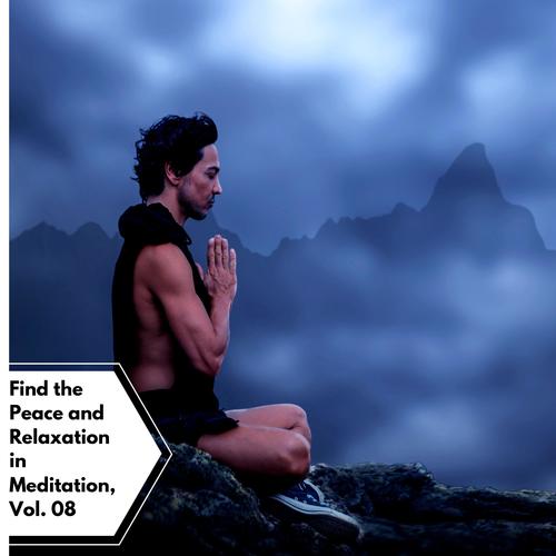 Find The Peace And Relaxation In Meditation, Vol. 08