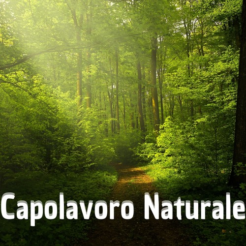 Capolavoro Naturale