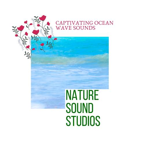 Nature Sound Studios - Captivating Ocean Wave Sounds