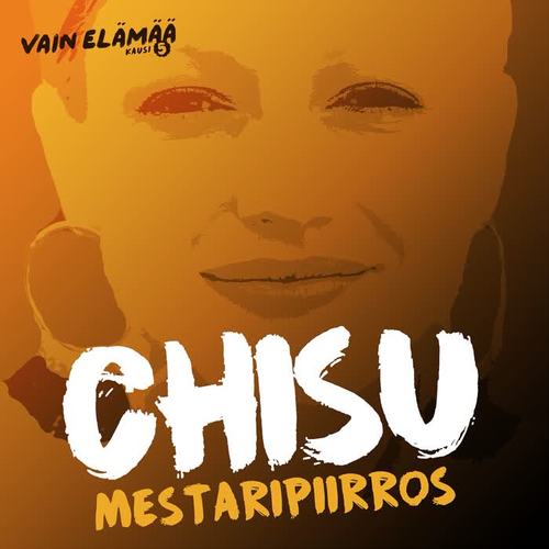 Mestaripiirros (Vain elämää kausi 5)