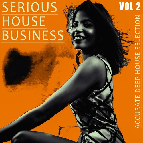 Serious House Business - Vol.2