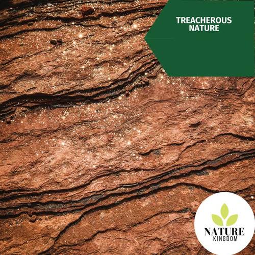 Treacherous Nature