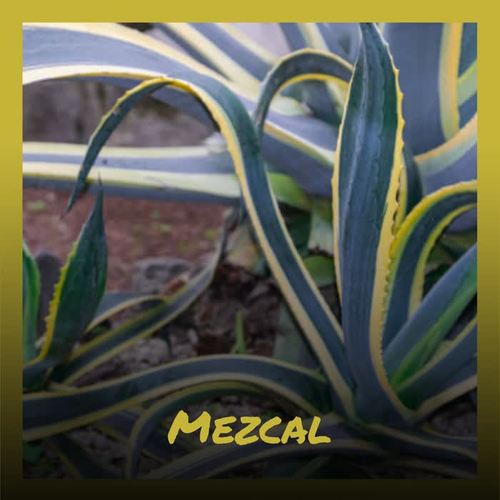 Mezcal