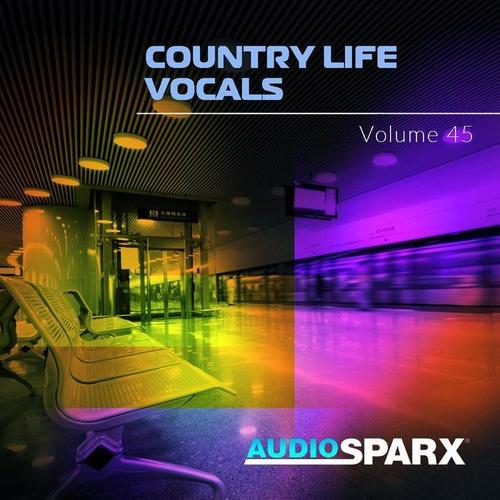 Country Life Vocals Volume 45