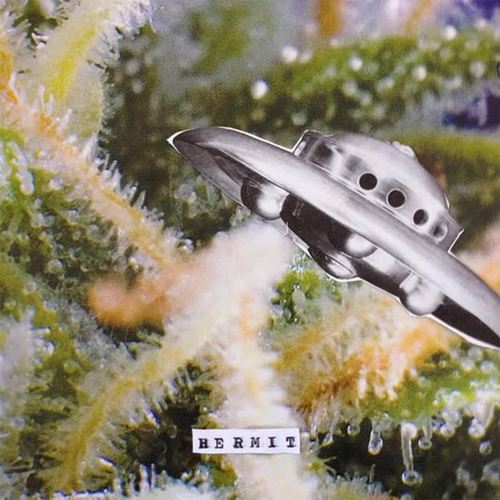Hermit (Explicit)
