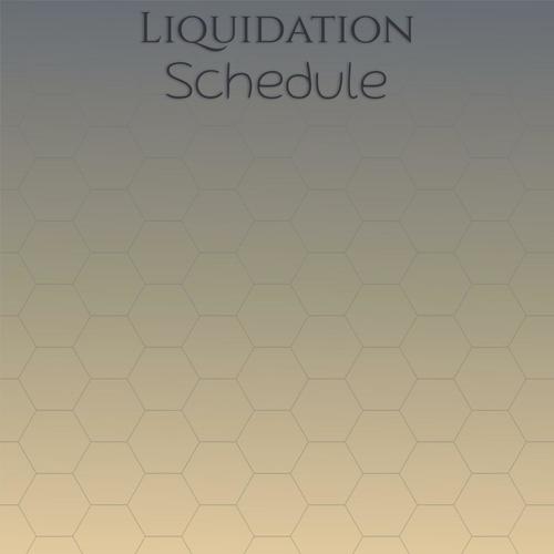 Liquidation Schedule