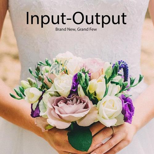 Input-Output