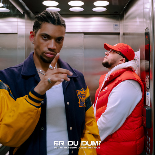 Er Du Dum? (feat. Jonas Benyoub)