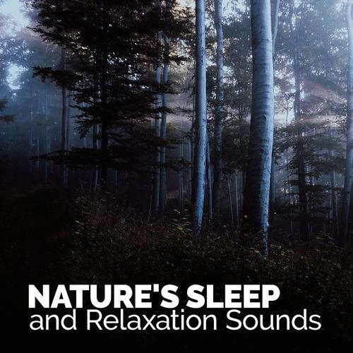 Nature's Sleep and Relaxation Sounds