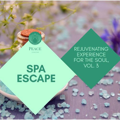 Spa Escape - Rejuvenating Experience For The Soul, Vol. 3