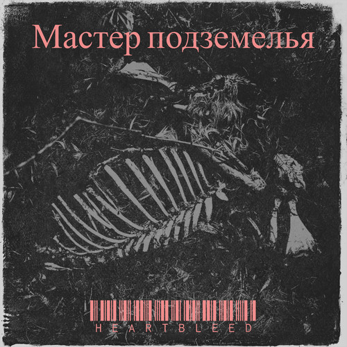 Мастер подземелья (Explicit)