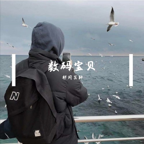 数码宝贝