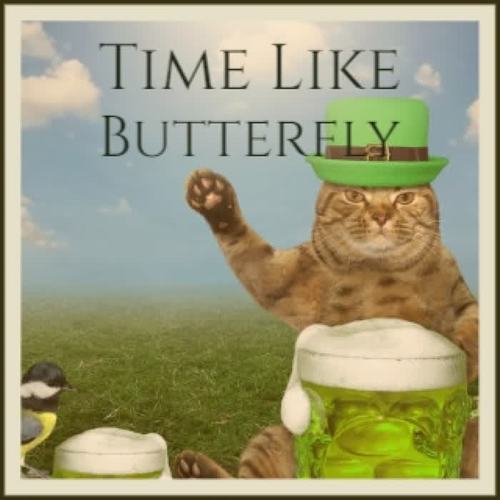 Time Like Butterfly