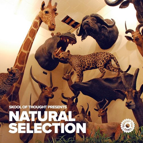 Skool of Thought presents Natural Selection