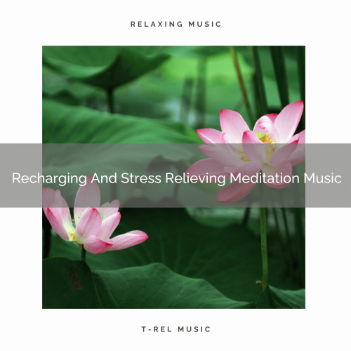 Recharging And Stress Relieving Meditation Music