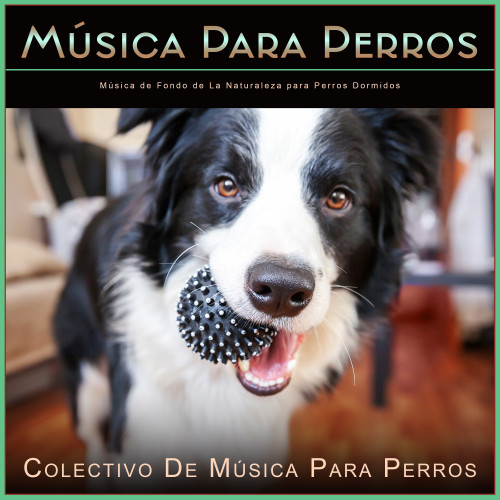 Música Para Perros: Música de Fondo de La Naturaleza para Perros Dormidos