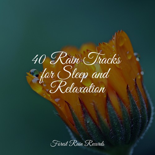 40 Rain Tracks for Sleep and Relaxation