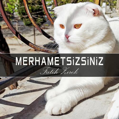 Merhametsizsiniz
