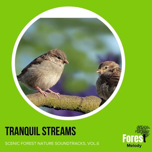 Tranquil Streams - Scenic Forest Nature Soundtracks, Vol.6