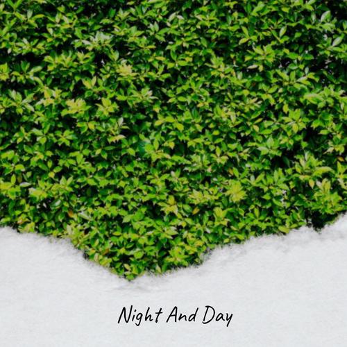 Night And Day