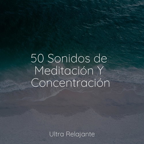 50 Sonidos de Meditación Y Concentración