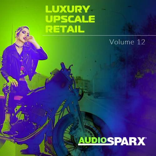 Luxury Upscale Retail Volume 12