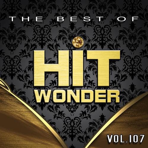 Hit Wonder: The Best of, Vol. 107