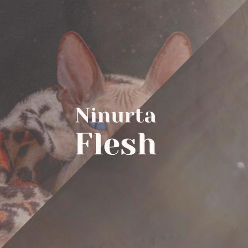 Ninurta Flesh