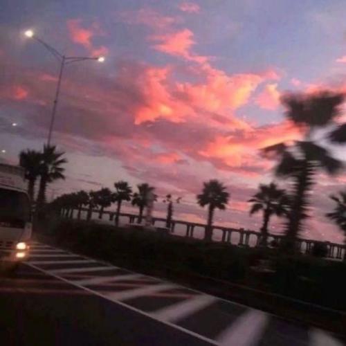 春泥