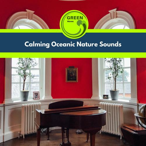 Calming Oceanic Nature Sounds