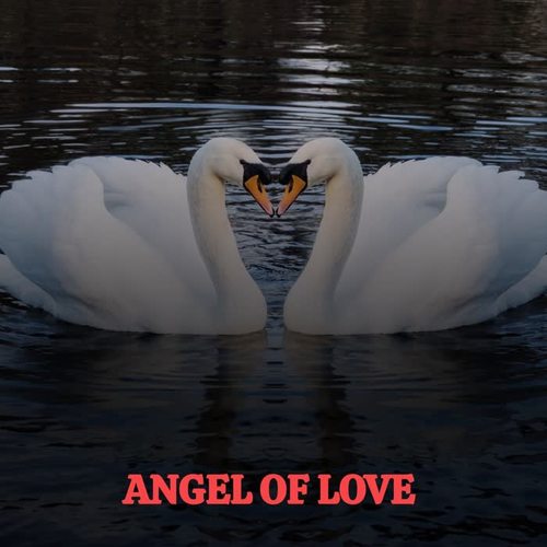 Angel of Love