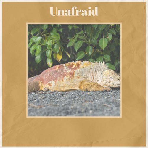 Unafraid