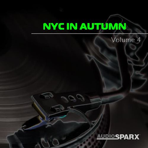 NYC in Autumn Volume 4