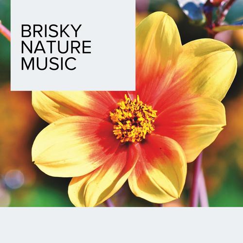 Brisky Nature Music